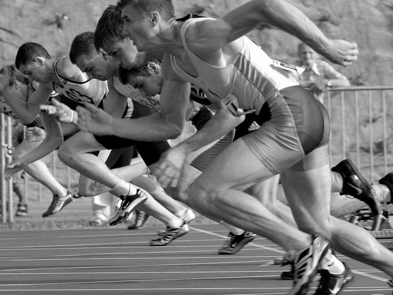 spot-runs-start-la-34514-scaled